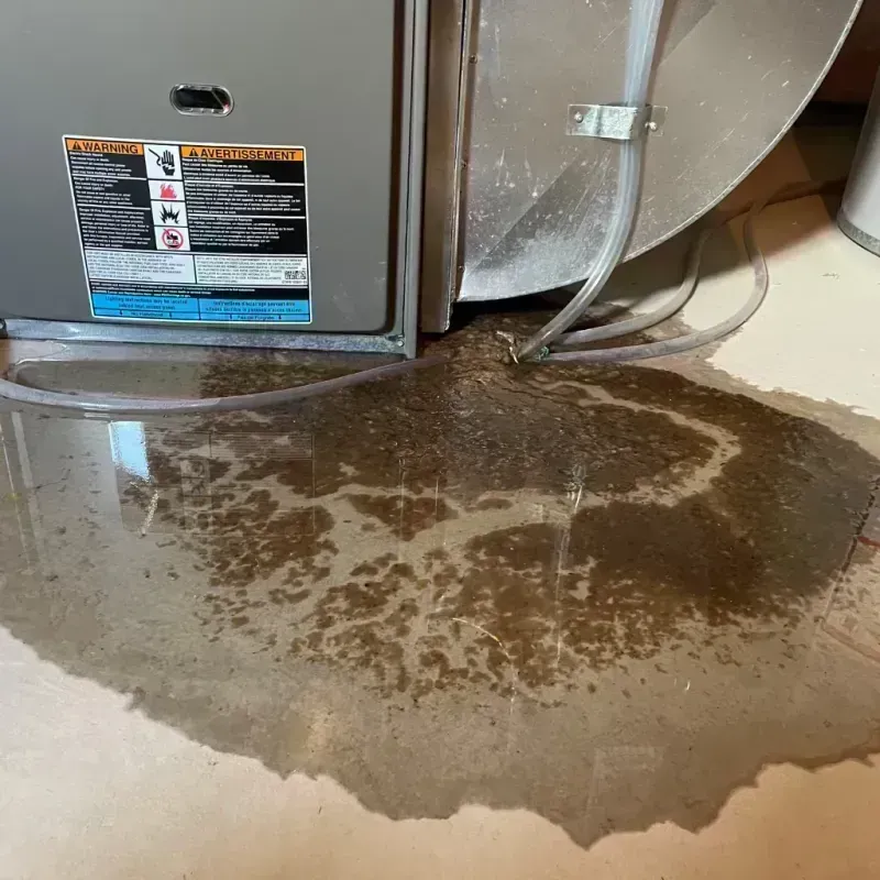 Appliance Leak Cleanup in Grand Junction, CO